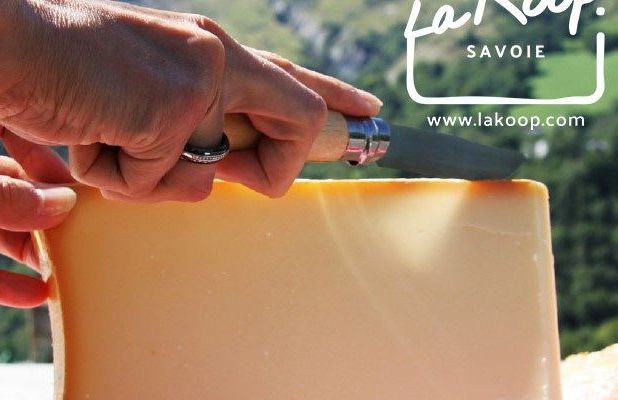 LAKOOP image 1